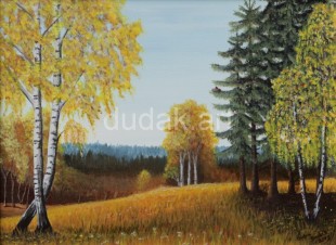 2013_Louka_s_brizami_bezramu_IMG_0859