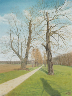 2025_Okruzni_alej_male_foto_PictoArt_bez_struktury