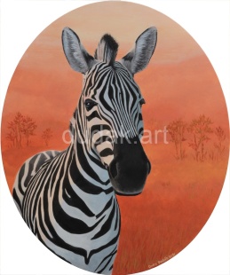 2021_Zebra_IMG_6876_1-2