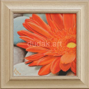 2021_oranzova_gerbera_IMG_3442-2